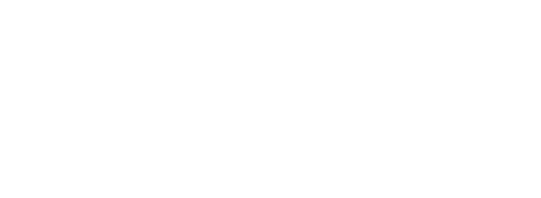 Logo Zionn